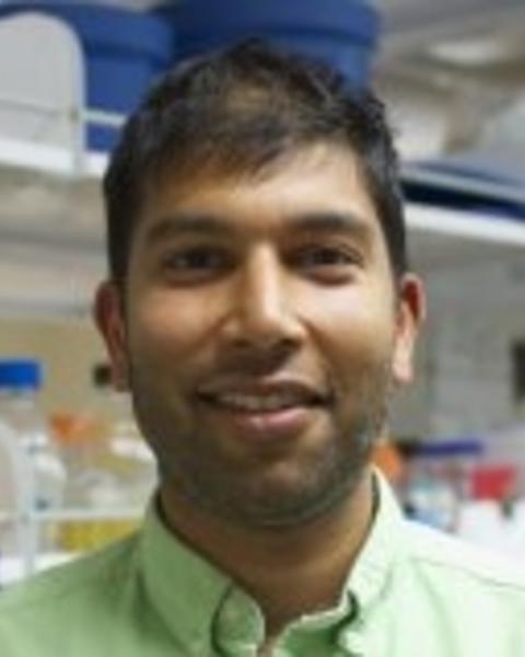 rishi.jpg